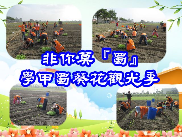 104.10 本署與臺南市環保局學甲區隊、學甲區公所、光華社區發展協會合作辦理「非你莫『蜀』─學甲蜀葵花觀光季」專案活動