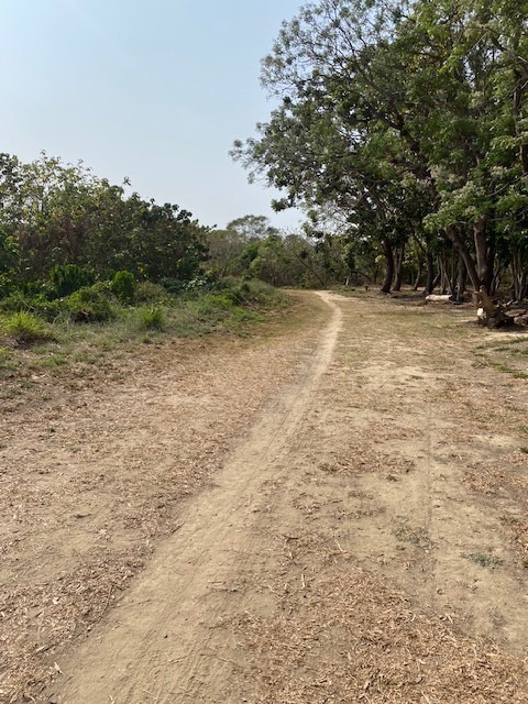 S__154492981_0