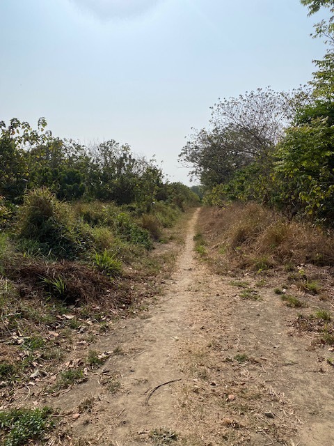 S__154492983_0